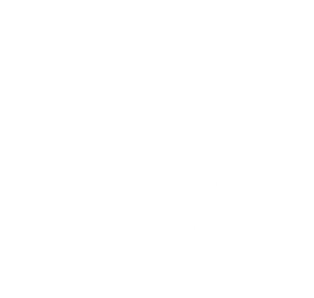ucsas logo
